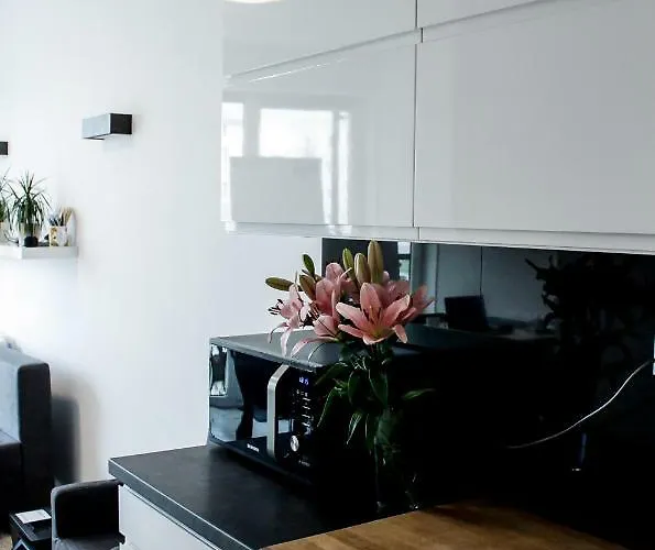 Modern Business Close To Center Check In 24h Appartement *