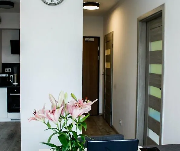 Modern Business Close To Center Check In 24h *