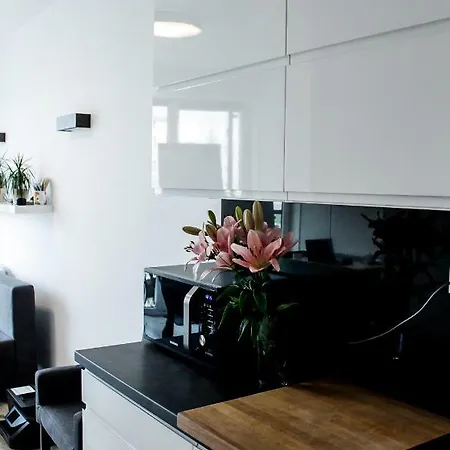 Modern Business Close To Center Check In 24h Apartment *